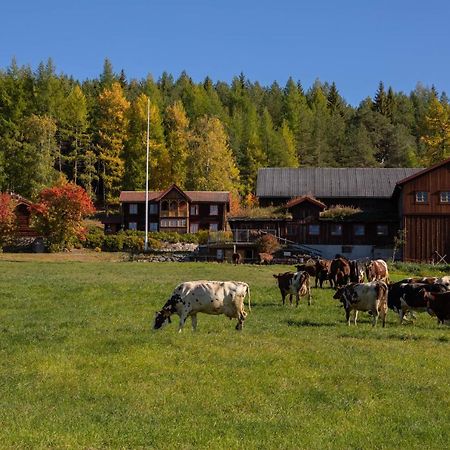 Romenstad Hytter Rendalen Zewnętrze zdjęcie