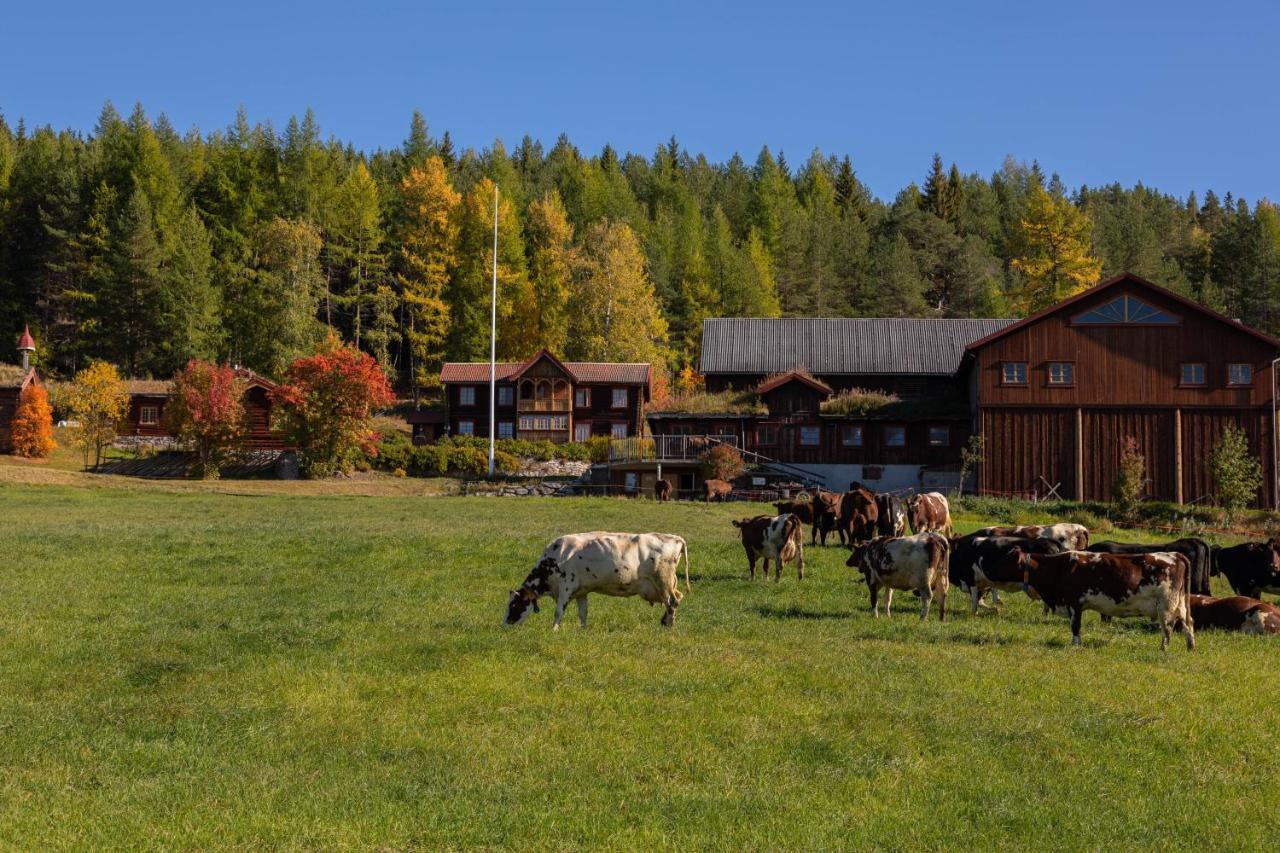 Romenstad Hytter Rendalen Zewnętrze zdjęcie